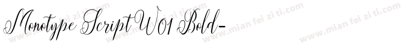 Monotype Script W01 Bold字体转换